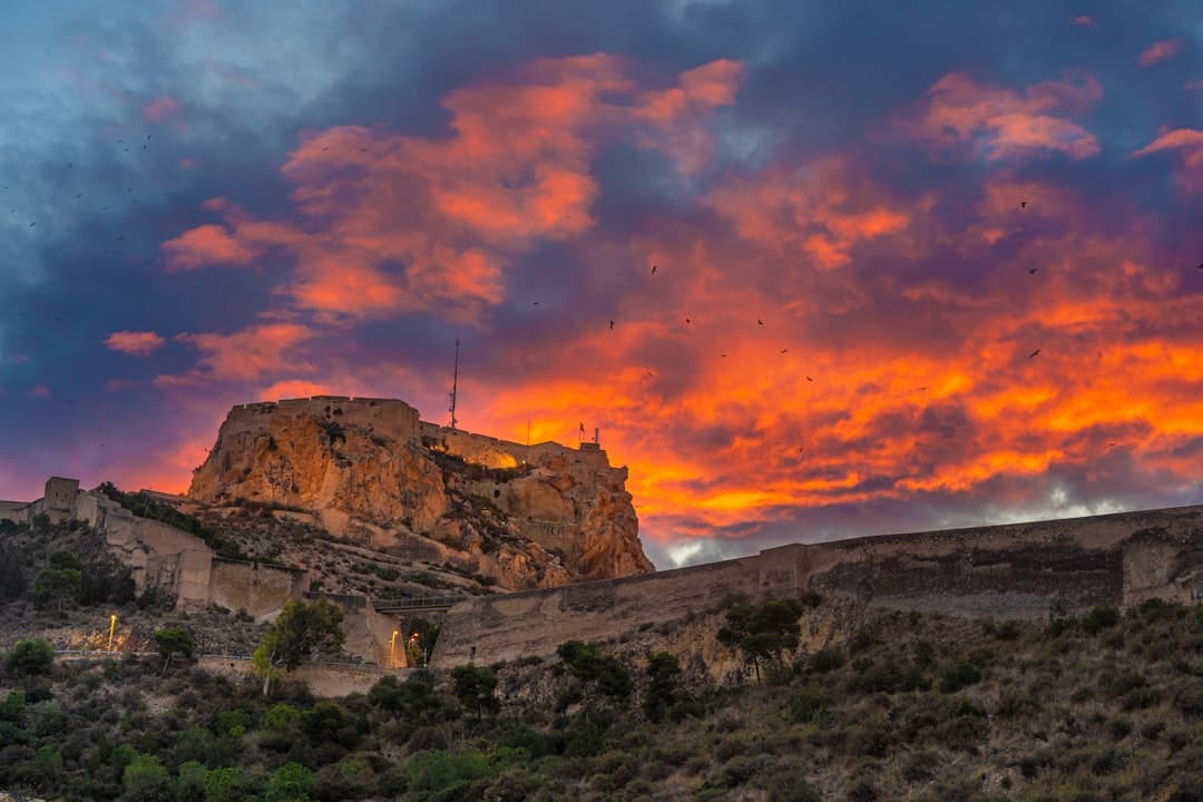 Alicante
